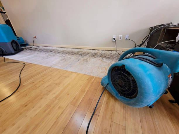 Reliable Basement Flood Cleanup contractor in McQueeney, TX by Hirex Water Damage