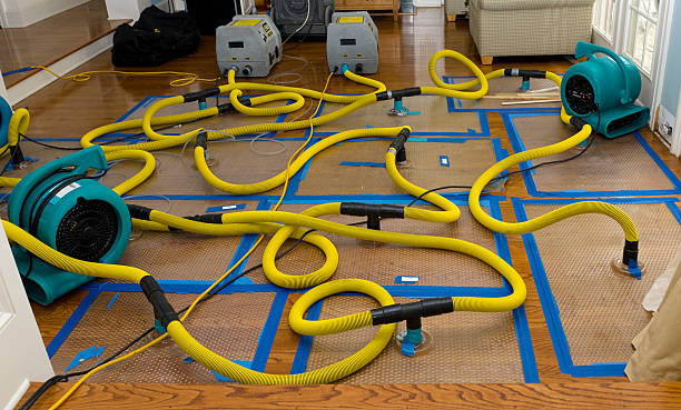 Professional Basement Flood Cleanup technician working in McQueeney, TX